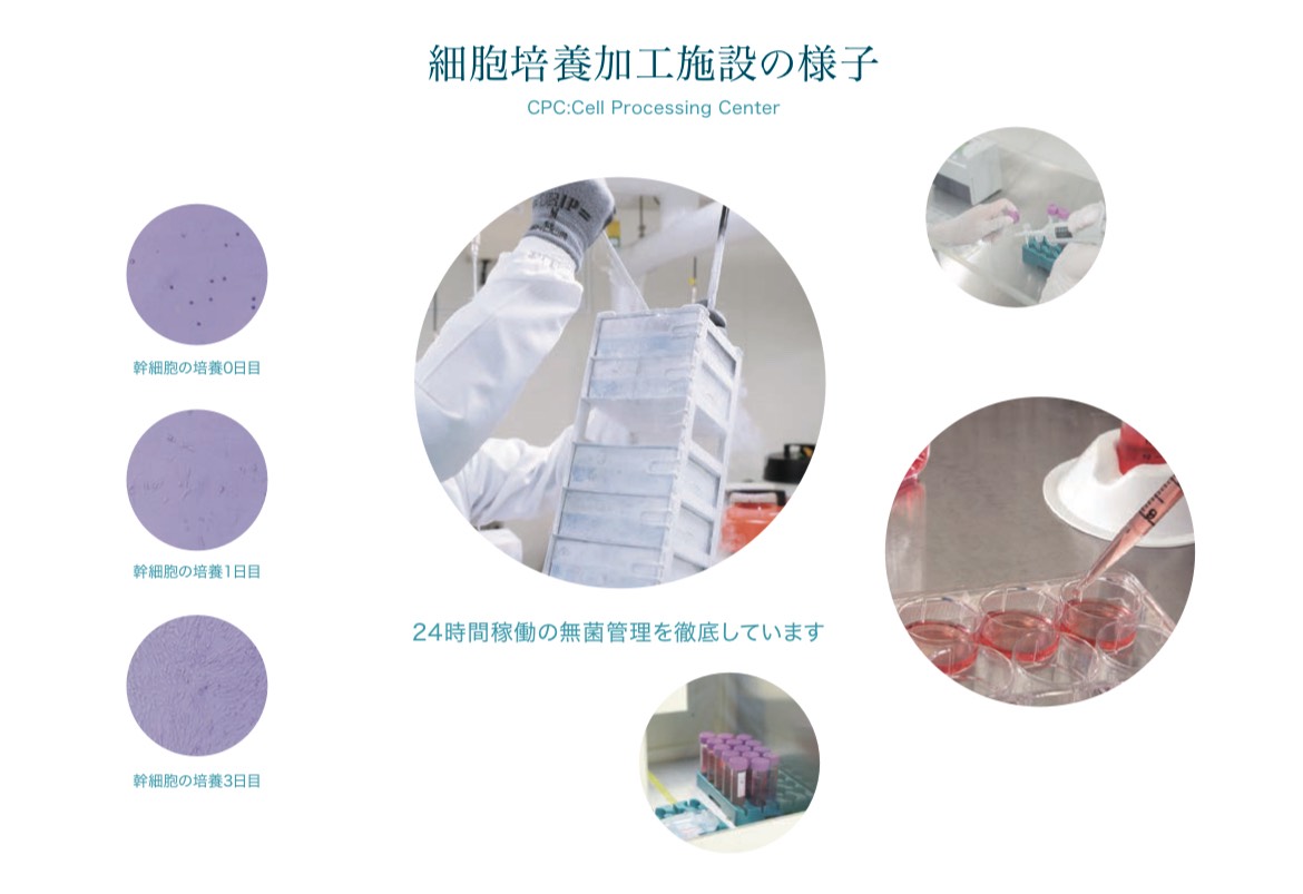 細胞培養加工設施の様子