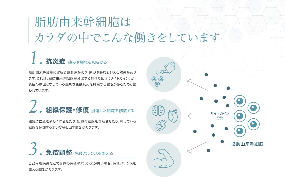 動きをしています